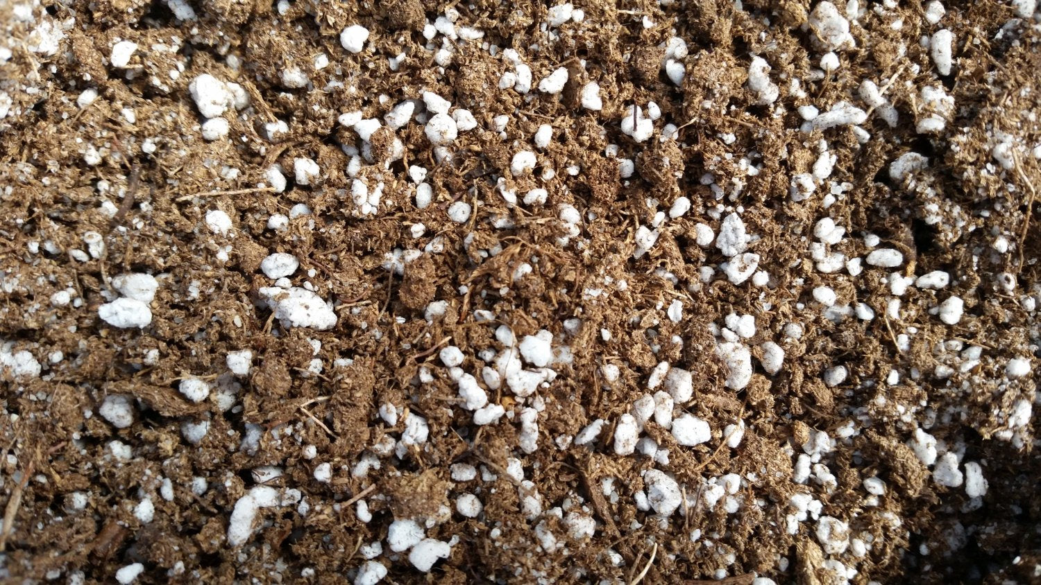 carnivorous plant potting mix Peat Based Carnivorous Plant Media/Soil, Pre-Blended