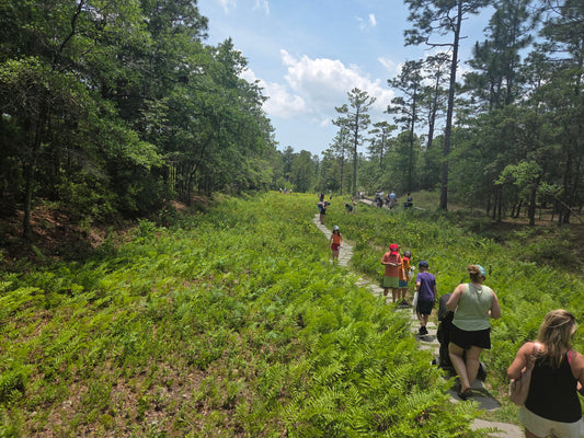 Flytrap Frolic 2025 Photo Dump