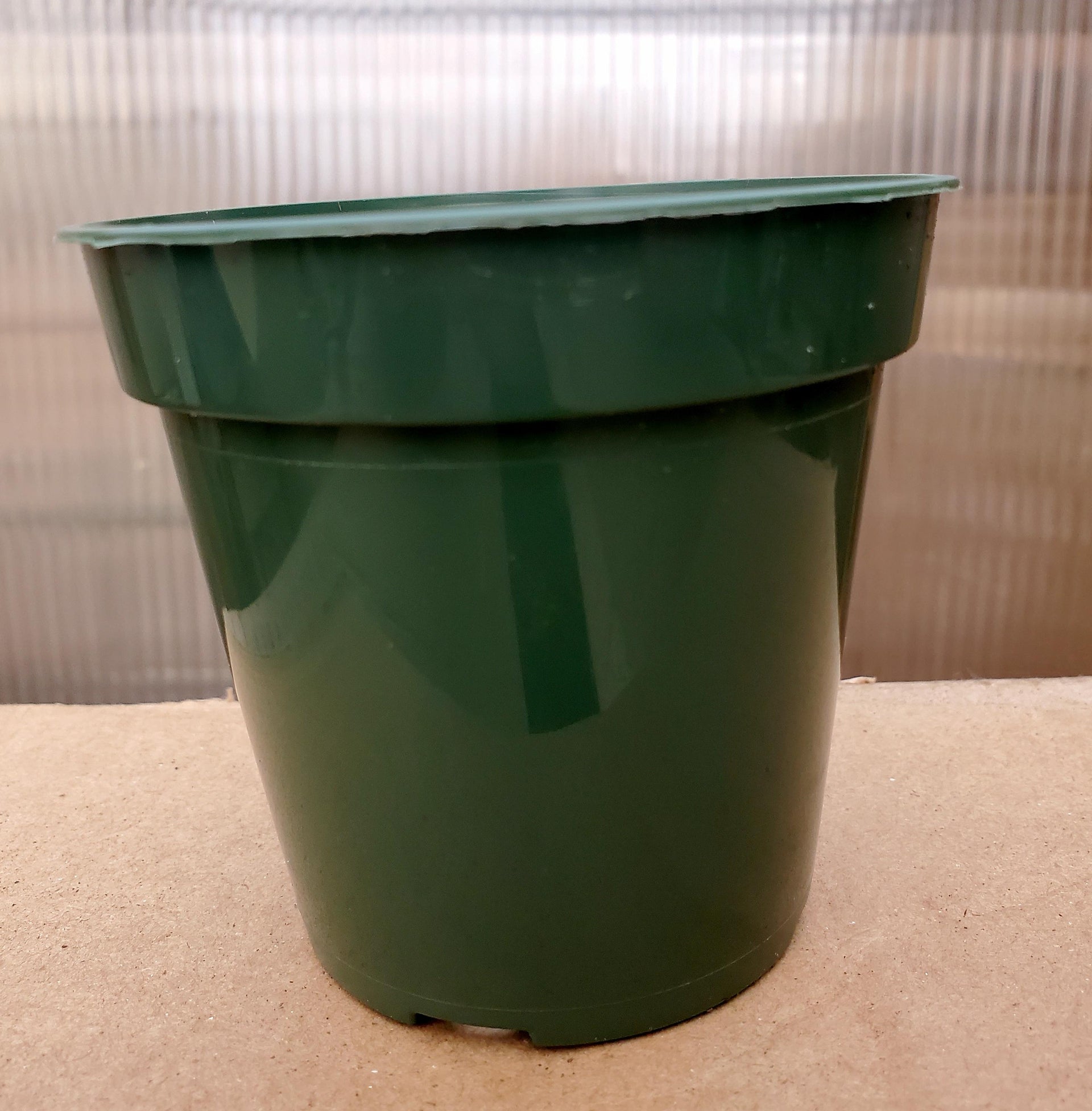 plant pots made in usa Nursery Pots - Set of 10