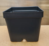 Nursery Pots - Set of 10 - Made in the USA
