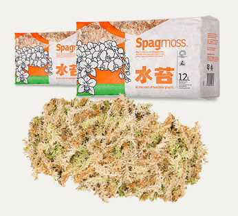 Spagmoss- New Zealand Long Fiber Sphagnum Moss, 150g